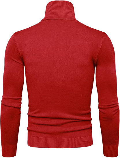 LP | Maglione dolcevita lavorato a maglia